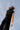 ONE SIZE | 176cm