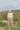 XS-M 100cm | 163cm